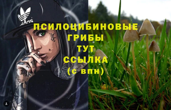 герыч Лиски