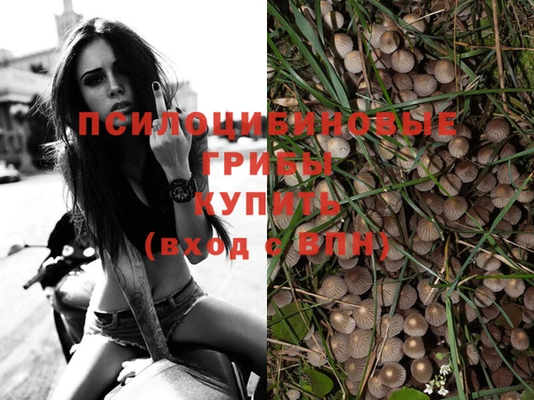 СК Липки