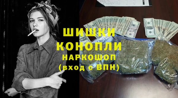 спайс Ладушкин