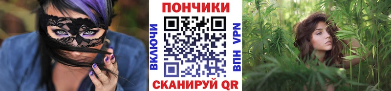 Шишки марихуана гибрид  Черепаново 